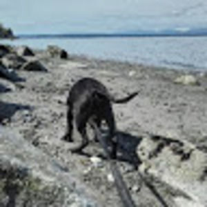 Meet your Posher, Park